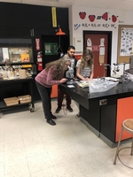 Science Labs