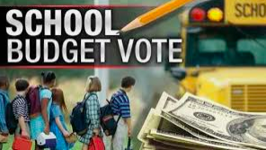 School Budget Vote, July 14, 2020