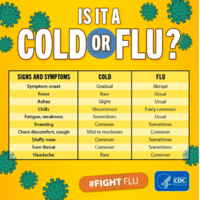 Is it a Cold or Flu?